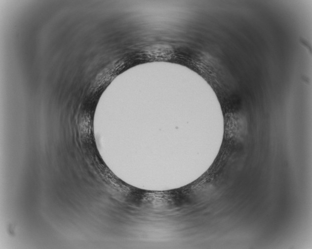 X0000100350713200806201541