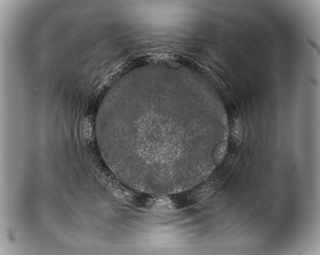 X0000100350715200806201541
