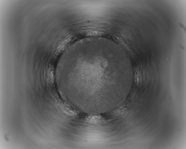 X0000100350716200806201541