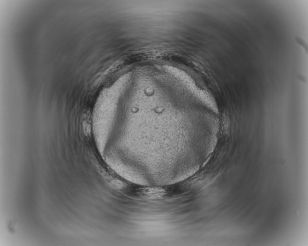 X0000100350719200806201541