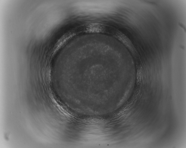 X0000100350722200806201540