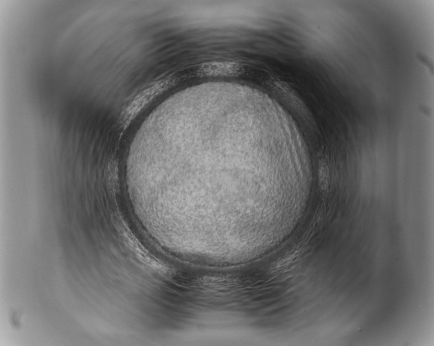 X0000100350725200806201540