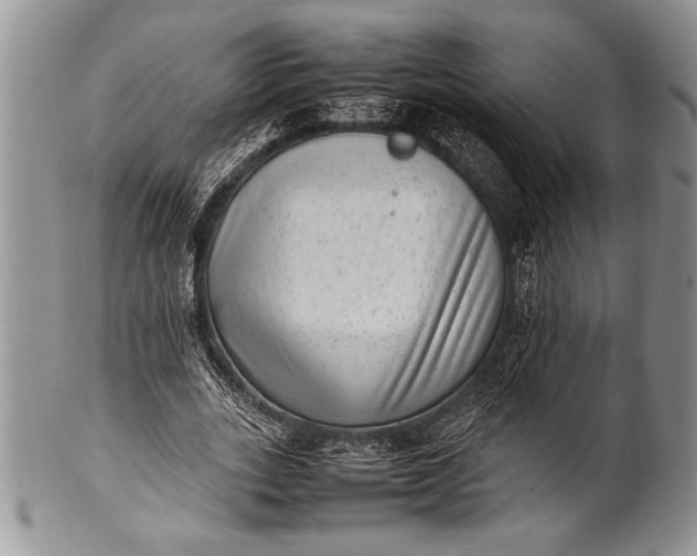 X0000100350727200806201540