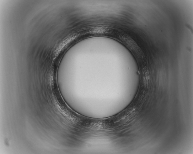 X0000100350728200806201540