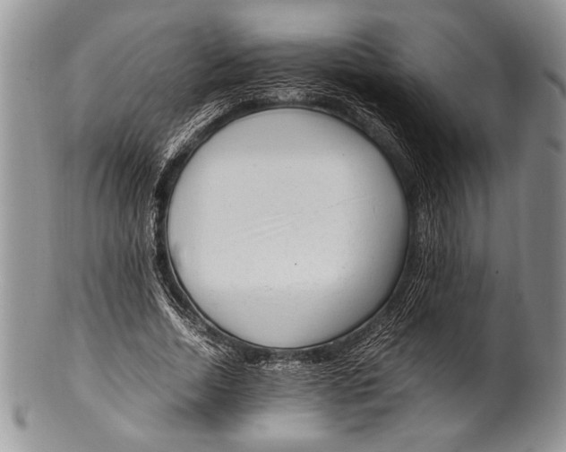 X0000100350730200806201540