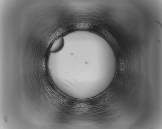 X0000100350731200806201540