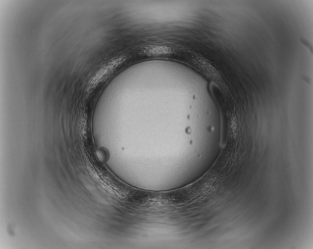 X0000100350732200806201540