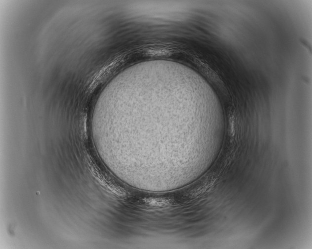 X0000100350733200806201540