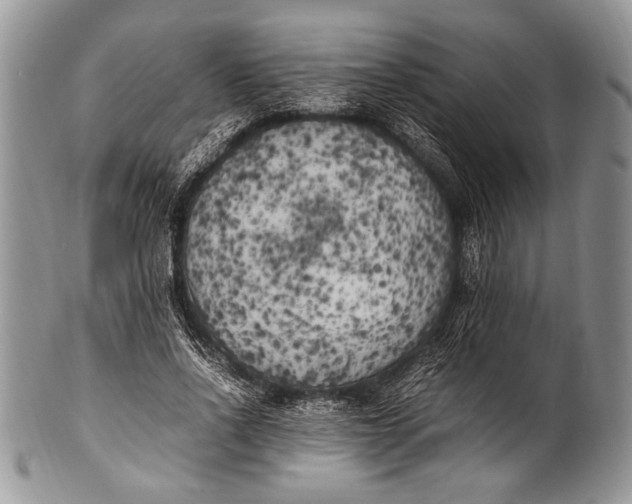 X0000100350734200806201540