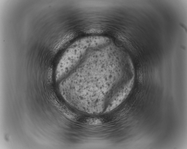 X0000100350735200806201540