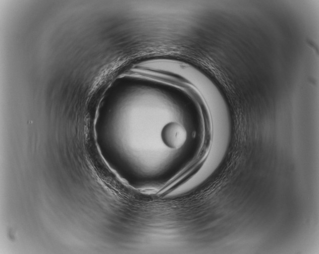 X0000100350736200806201540