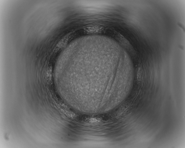 X0000100350737200806201540