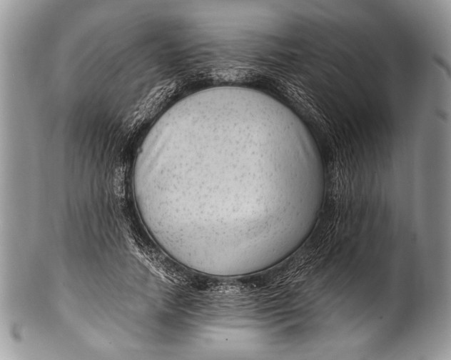 X0000100350738200806201540