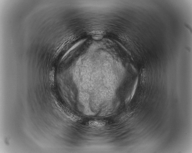 X0000100350739200806201540
