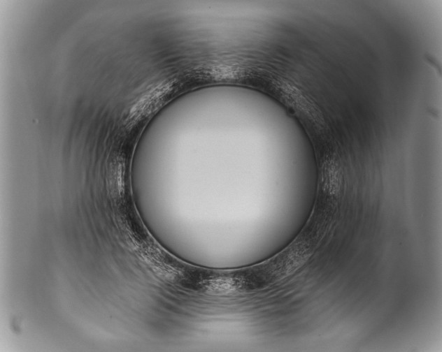 X0000100350740200806201541