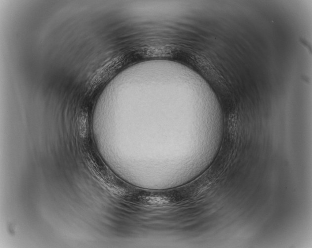 X0000100350741200806201541