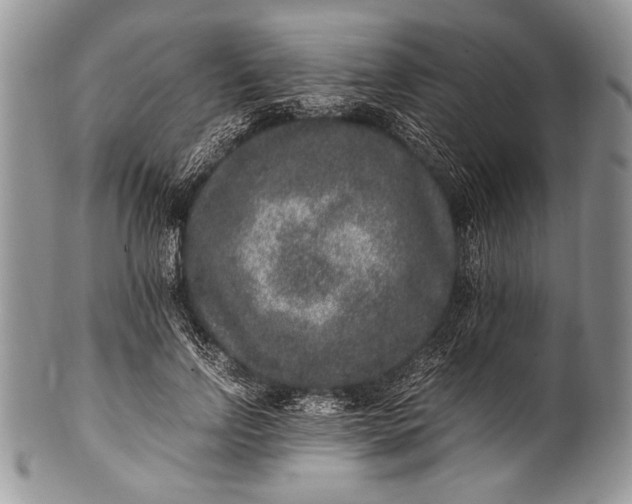 X0000100350742200806201541