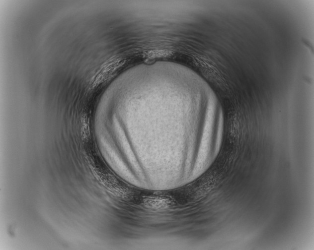 X0000100350743200806201541