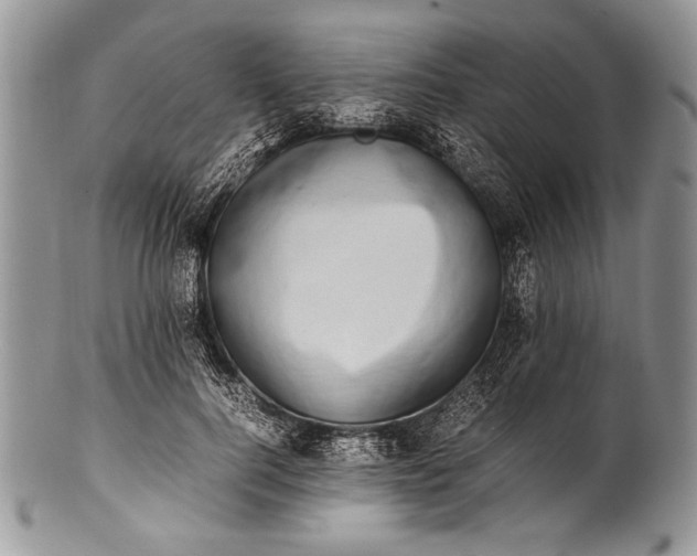 X0000100350744200806201541