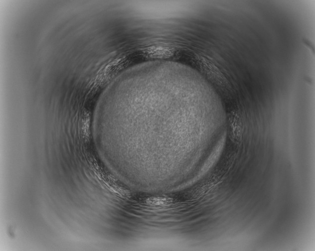X0000100350745200806201541