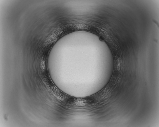 X0000100350746200806201541