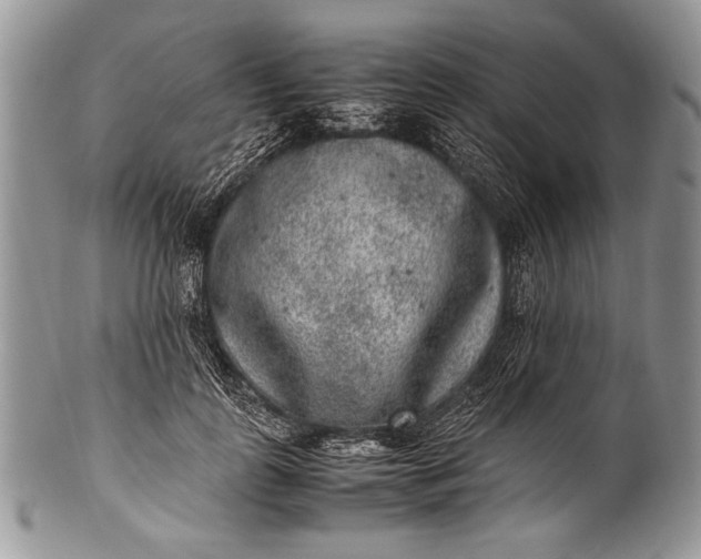 X0000100350747200806201541
