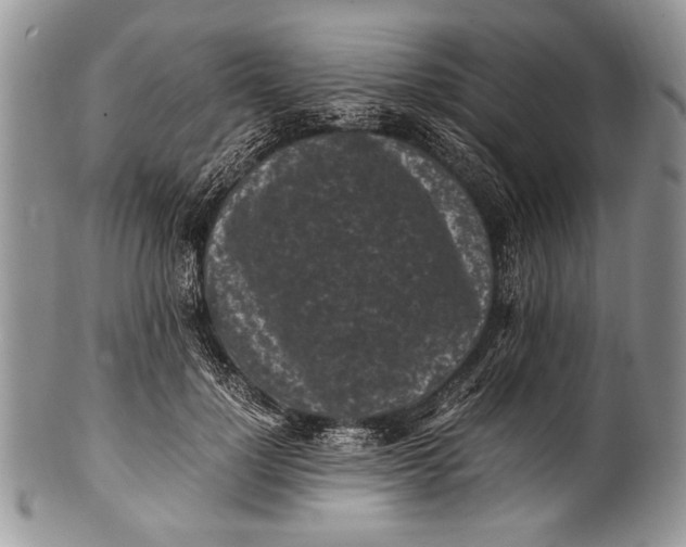 X0000100350748200806201541
