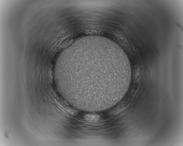 X0000100350749200806201541