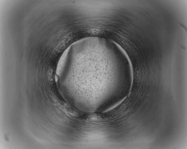 X0000100350750200806201541