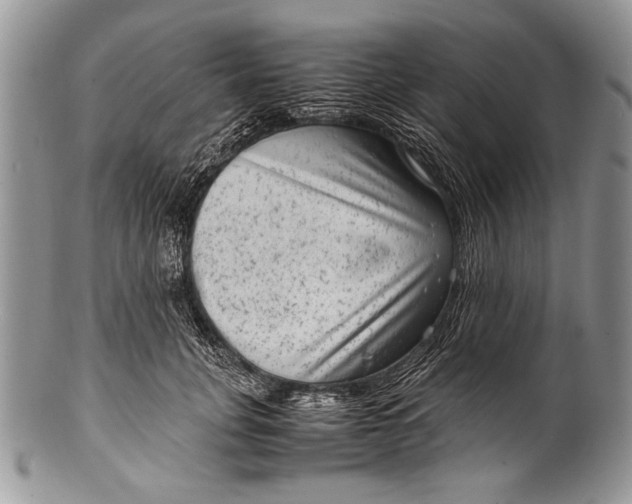 X0000100350751200806201541