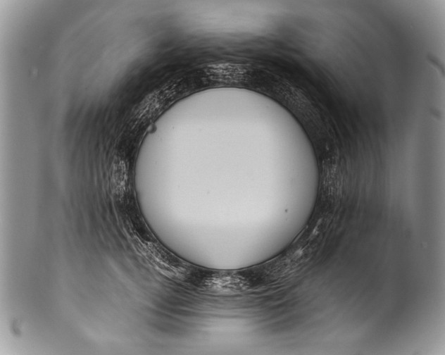 X0000100350752200806201541