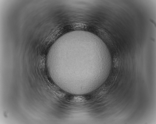 X0000100350753200806201541