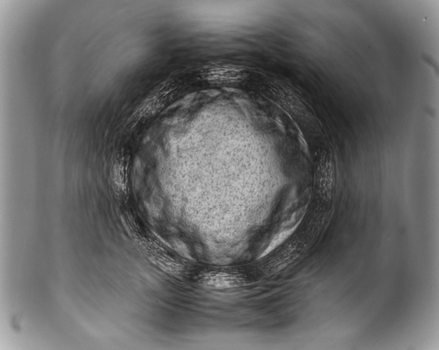 X0000100350755200806201541