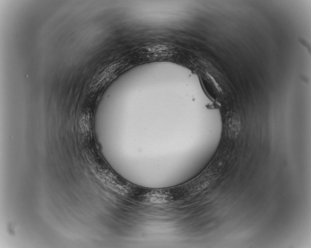 X0000100350756200806201541