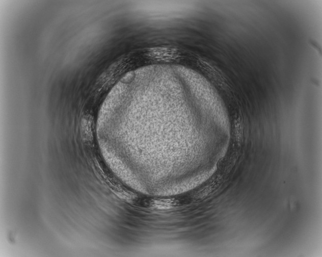 X0000100350757200806201541