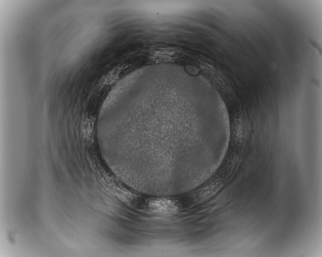 X0000100350759200806201541