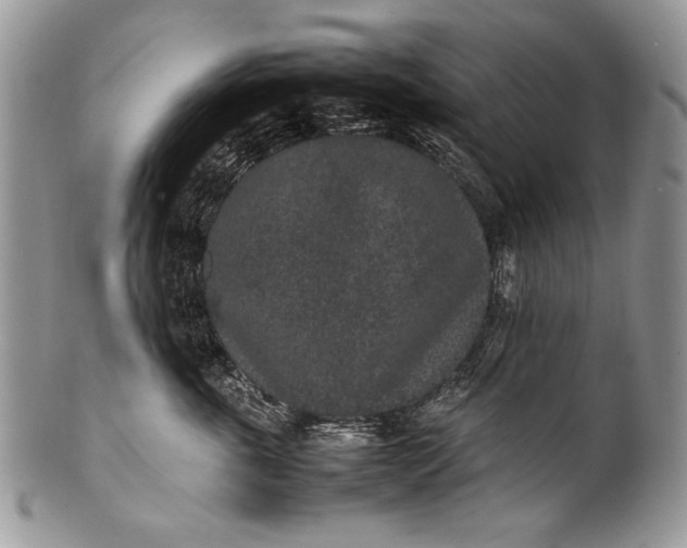 X0000100350763200806201541
