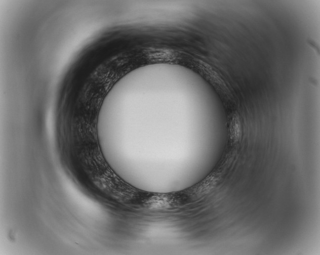 X0000100350764200806201541