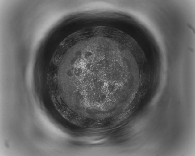 X0000100350765200806201541