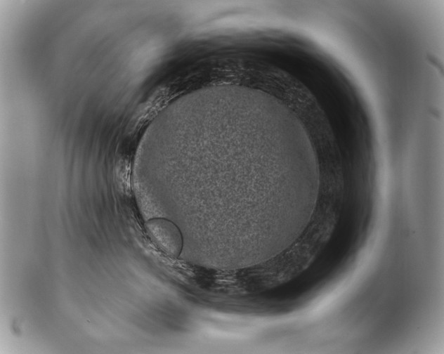 X0000100350766200806201541