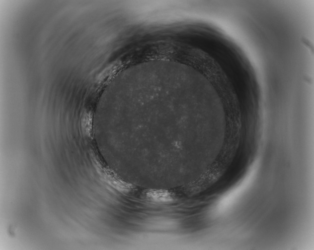 X0000100350767200806201541