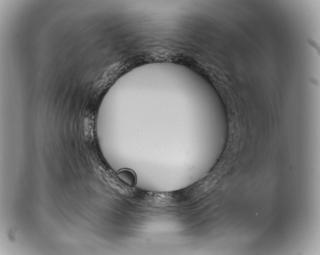 X0000100350768200806201541