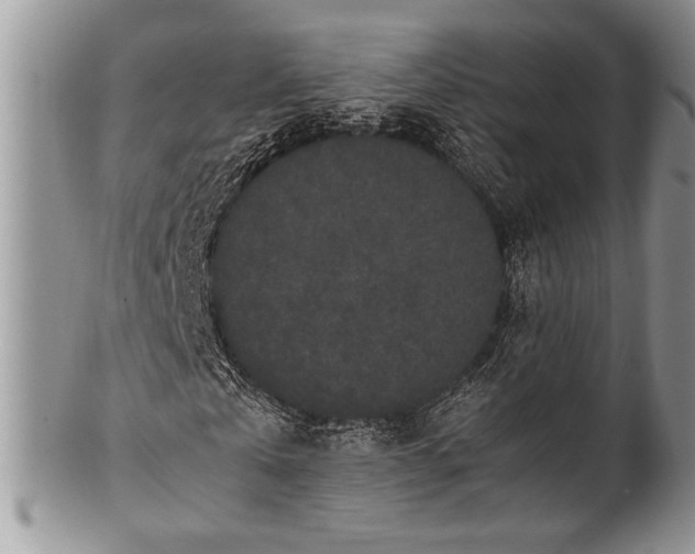 X0000100350769200806201540