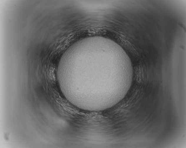 X0000100350770200806201540