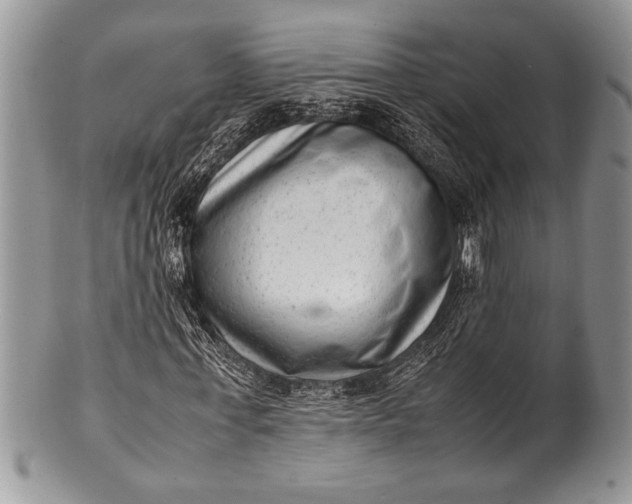X0000100350771200806201540