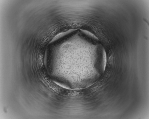 X0000100350772200806201540
