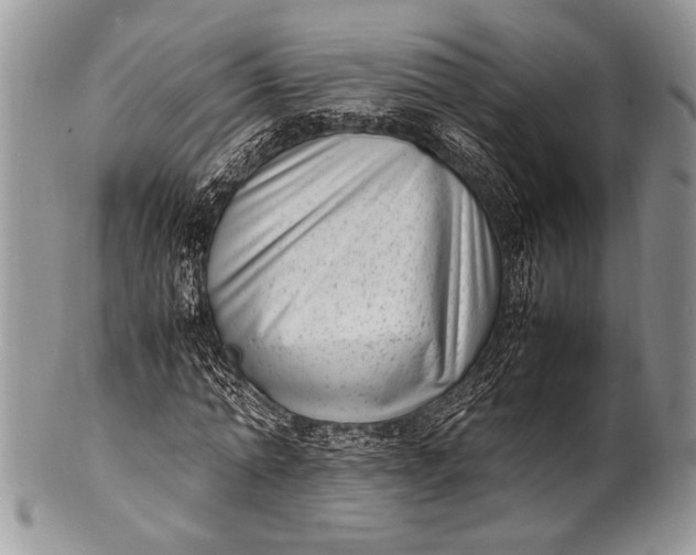 X0000100350774200806201540