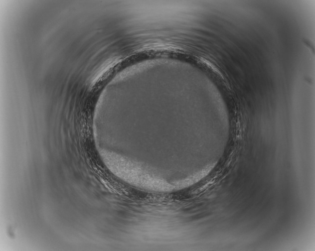 X0000100350775200806201540
