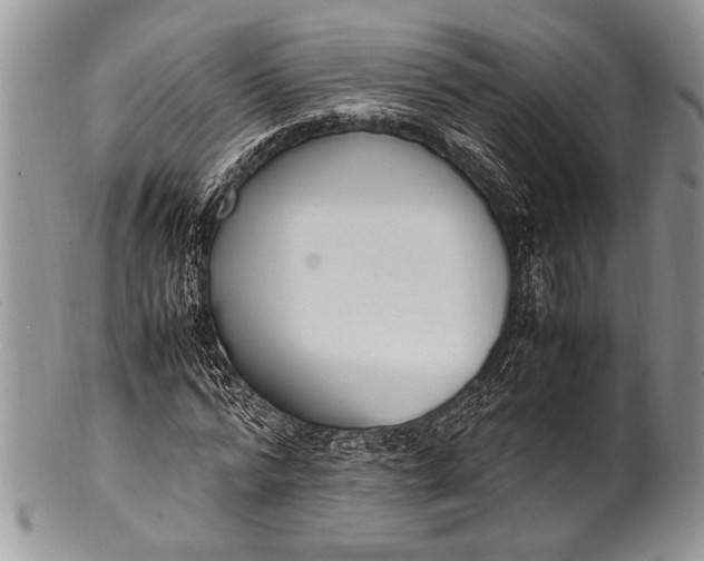 X0000100350776200806201540