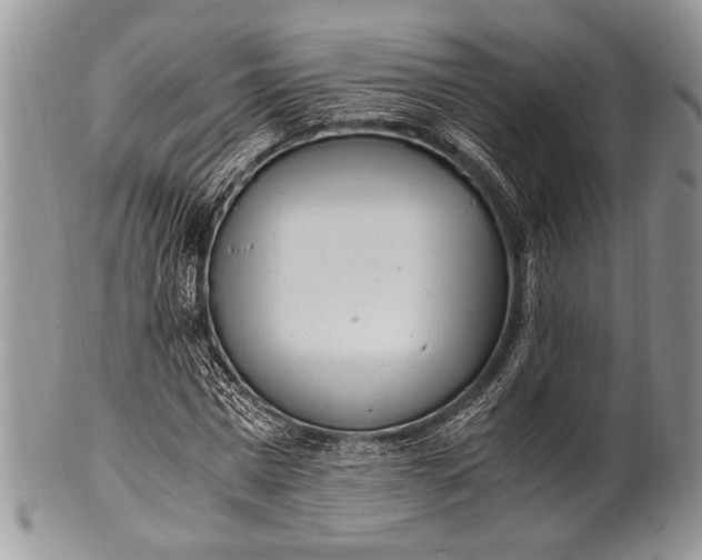 X0000100350777200806201540